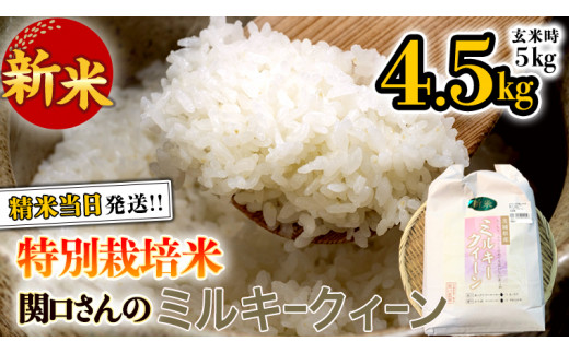 特別栽培米 》 令和5年産 精米日出荷 関口さんの「 ミルキークイーン