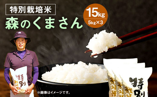 正規店 令和5年産 新米 森のくまさん20キロ 減農薬栽培 白米・無線米