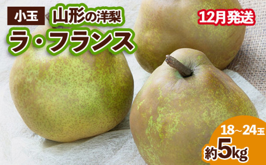 yR`R`szR`̗m tX Di 5kg (2L`M/18`24)[12] FZ23-654