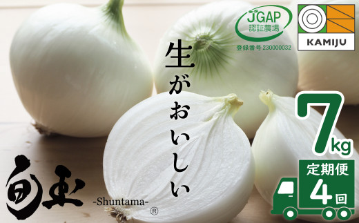 数量限定】訳あり 新玉ねぎ 生がおいしい 神重農産のブランド玉ねぎ