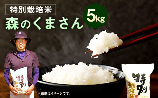 【令和5年産】相良村産 特別栽培米 森のくまさん 5kg