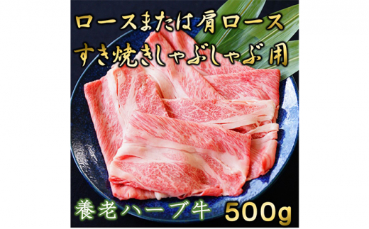 養老ハーブ牛 ロースまたは肩ロース すき焼き・しゃぶしゃぶ両用 500g