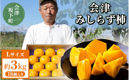 【予約開始】23-E 会津みしらず柿Lサイズ18個入り（約3kg）｜果物