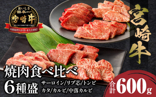 宮崎牛 焼肉食べ比べ6種盛 600g_M243-031 - 宮崎県宮崎市