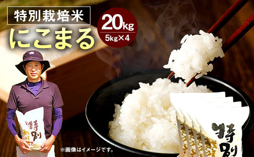 令和5年産】 相良村産 特別栽培米 にこまる 20kg - 熊本県相良村｜ふるさとチョイス - ふるさと納税サイト