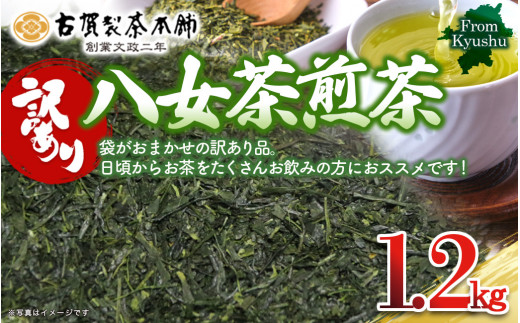 古賀製茶本舗 訳ありご家庭用八女茶煎茶 どどんと１.２キロ - 福岡県