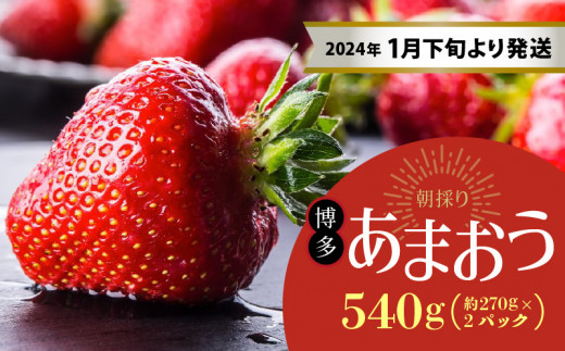 旬のおいしさそのまま！特殊冷凍あまおう1.5kg - 福岡県久留米市