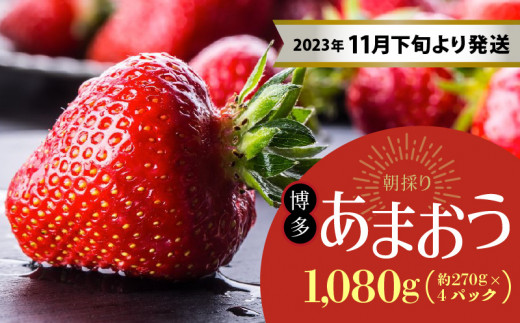 旬のおいしさそのまま！特殊冷凍あまおう1.5kg - 福岡県久留米市