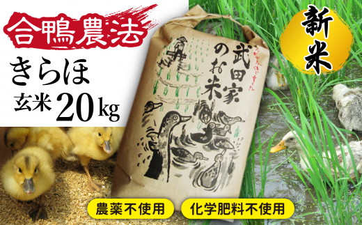 令和５年度産》武田家のお米 きらほ（精米）５kg＜合鴨農法＞【米農家