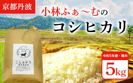 令和5年新米【京都丹波】小林ふぁ～むのコシヒカリ(令和5年産・精米