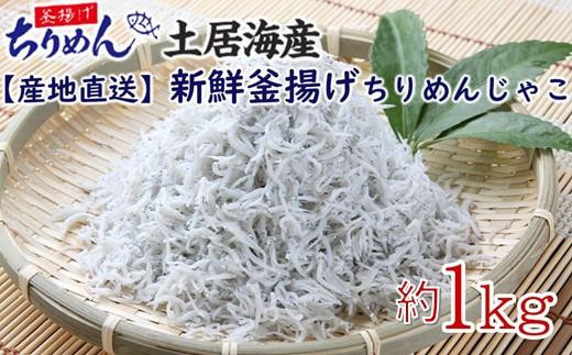 【産地直送】新鮮釜揚げちりめんじゃこ　約1kg＜土居海産＞