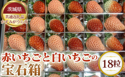 No.339 赤いちごと白いちごの宝石箱 18粒【茨城県共通返礼品 石岡市