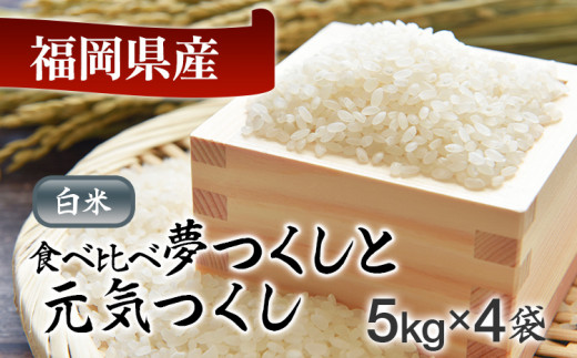 令和5年産　福岡県産米食べ比べ（白米）「夢つくし」と「元気つくし」セット　計20kg