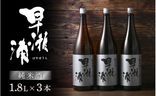 [m16-c010] 【早瀬浦】純米酒 1800ml × 3本【日本酒 地酒 福井 美浜 早瀬 フルーティ 男酒 硬水 ミネラル 希少 ご褒美 家飲み】