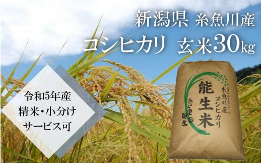 令和５年新米！新潟県糸魚川産コシヒカリ玄米30キロ穀物銘柄コシヒカリ