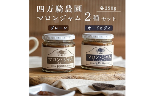 y錧݂sz}W250g@2(v[EI[hDB)y1317197z