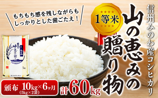 令和５年度】６ヶ月連続お届け 定期便 信州産 コシヒカリ 1等米 「山の