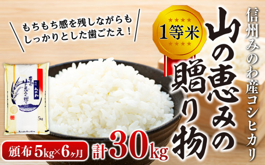 令和５年度】３ヶ月連続お届け 定期便 信州産 コシヒカリ 1等米 「山の