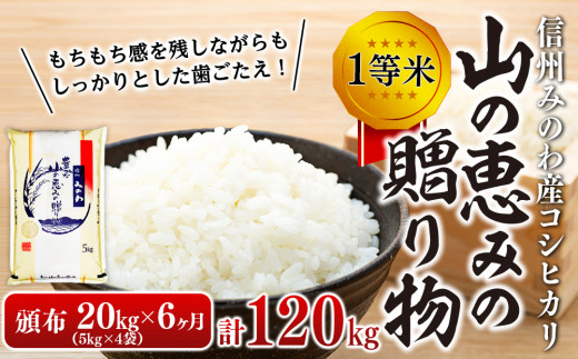 令和５年度】３ヶ月連続お届け 定期便 信州産 コシヒカリ 1等米 「山の