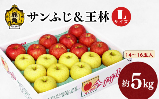 【訳あり】りんご「サンふじ」家庭用 13～20玉（約5kg）【平塚