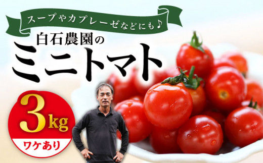 ミニトマト 訳あり トマト 約3kg まぼろしチョイス掲載のお品！ ＜白石