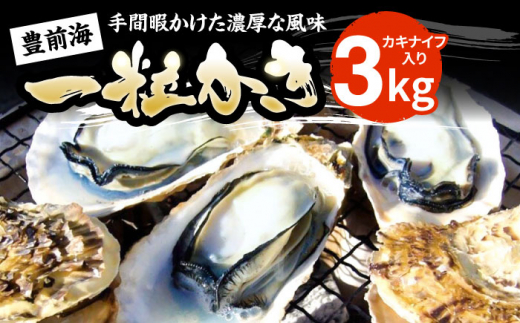 先行予約】豊前海一粒かき 3kg 《豊前市》【豊築漁業協同組合】 牡蠣