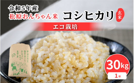 [m26-b005] 【期間限定】令和5年産 コシヒカリ（玄米）30kg × 1袋 【2023年10月下旬まで発送】