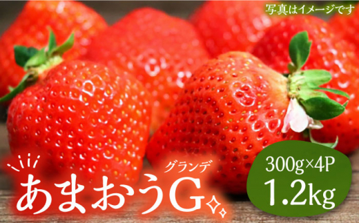 あまおう G(グランデ) 300g×4P 1.2kg 2箱《豊前市》【山田農場