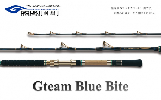 剛樹 Gチーム スクイッドバイト<GSQBT-H> 165cm ウェイト負荷100-150号