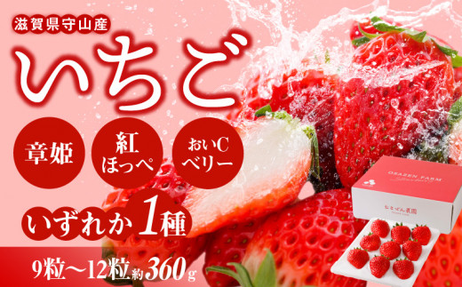 完熟採り もりやま梨（幸水）3キロ - 滋賀県守山市｜ふるさとチョイス