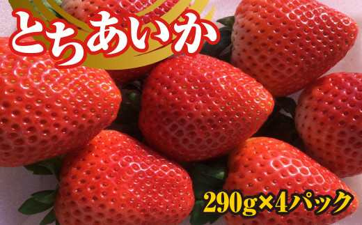 いちご（とちあいか） 290g×4パック 1.16kg以上 【先行予約 数量限定 栃木県 果物 くだもの フルーツ 苺 イチゴ】  ※2023年12月中旬頃～2024年3月下旬頃に順次発送予定 ※着日指定不可