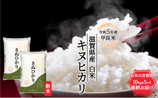 令和5年度新米】【定期便】新米 令和5年産甲良米「キヌヒカリ」白米
