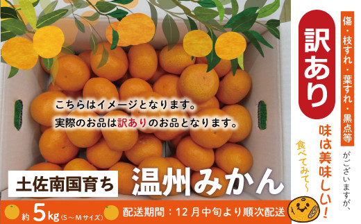 23-508．【訳あり】【早期受付・期間限定・数量限定】土佐南国育ち