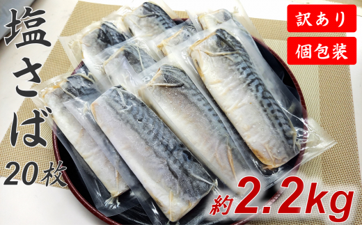 訳あり】塩さば 20切れ 約2.2kg（個包装） - 千葉県館山市｜ふるさと