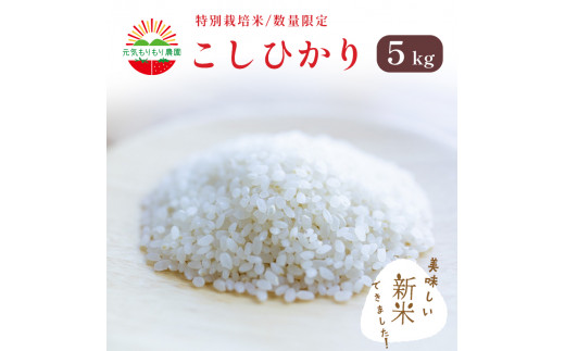 新米 白米 コシヒカリ 5kg 5キロ 特別 栽培米 令和 5年産 お米 ...