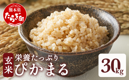 【玄米】 多良木町産 『ぴかまる』 30kg【 熊本県 たらぎ お米 米 艶