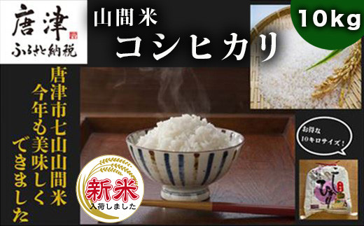 令和5年産新米】佐賀県唐津市上場産こしひかり 10kg つやと張りがあり