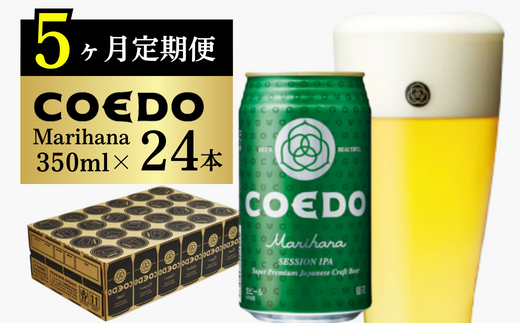 yʌRsz5ցRGhr[ 24{y { z(350ml×24{)v8400ml |  ̔ COEDO RGh 350ml 24 Ntgr[ nr[ r[ ݔ  BBQ  ƈ
