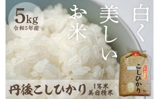 京丹後産 コシヒカリ≪令和4年産≫5kg - 京都府京丹後市｜ふるさと