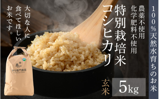 食べたくない米は作らない 玄米10kg ３年産コシヒカリ 特栽① 農薬等不