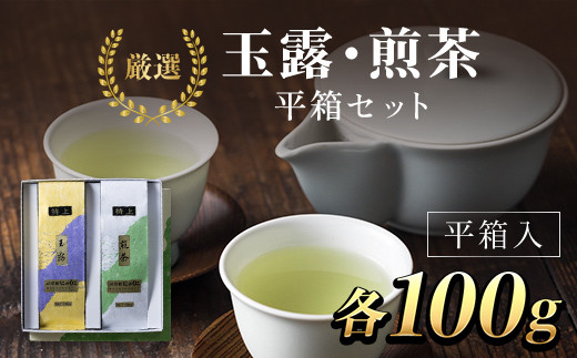 JA京都にのくに 特選玉露・煎茶 平箱セット (玉露100g・煎茶100g・各1