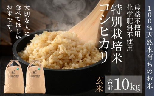 令和3年新米 自然栽培米 玄米10kg×2 農薬肥料不使用 コシヒカリ