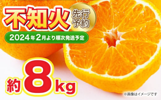 【先行予約】【数量限定】不知火 約8kg 18～28玉【くまふる】柑橘 みかん 熊本 しらぬい 果物 [ZBG061]