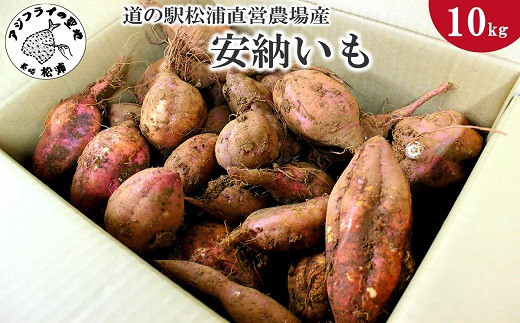 【C0-008】道の駅松浦直営農場産　赤土栽培「安納いも」10kg 安納いも 安納芋 芋 いも さつまいも サツマイモ 甘い 蒸す サラダ 炊き込みご飯