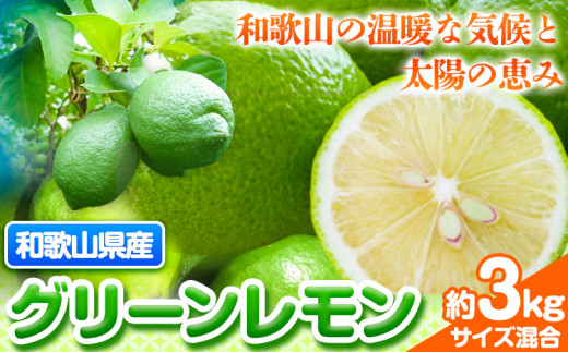 【先行予約】【産直】和歌山産 グリーン レモン 約 3kg 厳選館（サイズ混合）《2024年10月下旬-11月下旬頃出荷》和歌山県 日高川町 レモン  柑橘