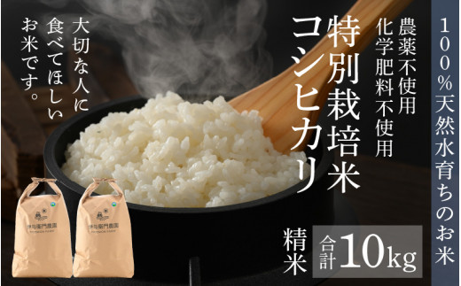 令和3年新米 自然栽培米 玄米10kg 農薬肥料不使用 コシヒカリ
