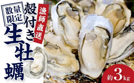 殻付き生牡蠣 3kg【漁師直送！】 - 兵庫県相生市｜ふるさとチョイス