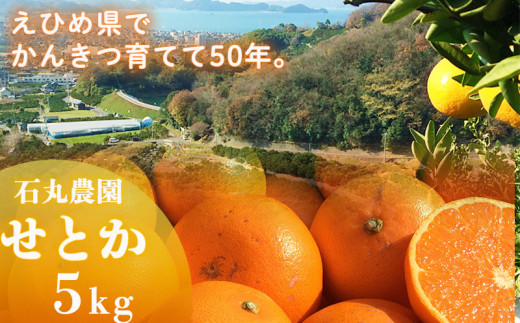 <ご家庭用＞石丸農園産 せとか5kg 【2月上旬から順次発送】訳あり