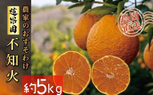 3月中旬～発送】 不知火（デコポンと同一品種） B品 家庭用 3kg 柑橘類