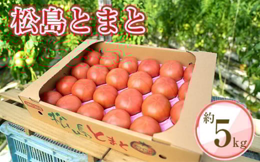 y{錧zNo.003 Ƃ܂ ^ _Y g}g VN {錧